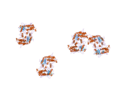 1zws: Crystal structure of the catalytic domain of human DRP-1 kinase