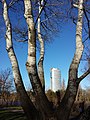 Blick auf den Florido Tower; vorne Silber-Pappeln