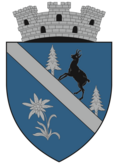 Wappen von Borșa