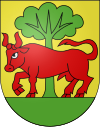Wappen von Souboz