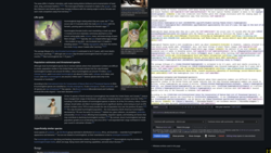 Editor on the right, preview on the left, dark mode