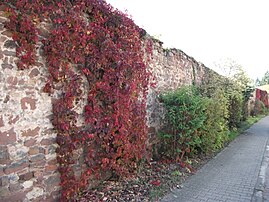Bruchsteinmauer im Norden