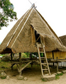 A house of the Dou Donggo peoples