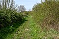 Wandelpad in het natuurgebied