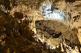 Tropfsteine in der Kolbinger Höhle