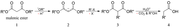 Schema malonzuurestersynthese