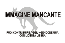 Immagine di Thylogale lanatus mancante