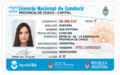 2013 Redisign of the National Driver's License