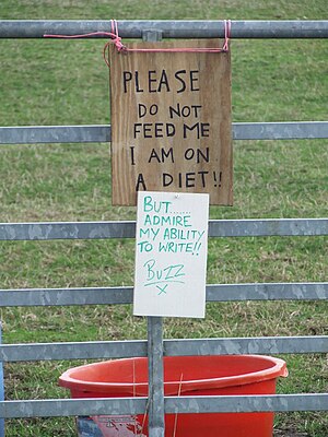 Shotley, Suffolk. As the field was empty of any, one can only assume whether the diet was a success