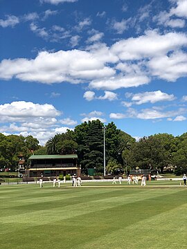 Cricket in Petersham Park