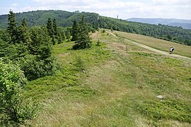 Polana Stołówka i widok na Stołów