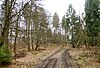 LSG Weserbergland - Kaufunger Wald