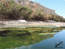 A still body of water, with trees and a cliff behind it.