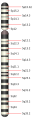 Vorschaubild der Version vom 17:45, 29. Dez. 2011