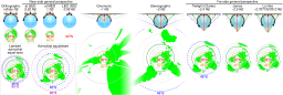 Comparison azimuthal projections.svg 00:15, 25 February 2015