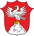 Gemeinde Pfronten In Rot auf silbernem Stein ein goldbewehrter silberner Falke mit gespreizten Flügeln.