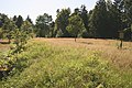 Noch ein Odenwald-Römerkastell (Kastell Würzberg). Blick von S über den Wall