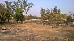 Rural landscape around Gobindpur