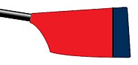 Image showing the rowing club's blade colours