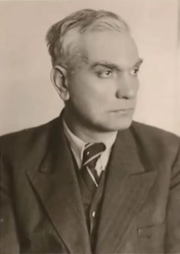 Photograph of Niko Bartulović