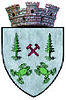 ROU SV Brosteni CoA.jpg