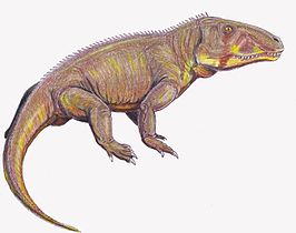 Shansisuchus