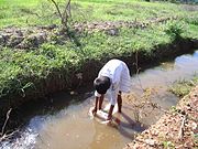 Stream in or near village Goa.