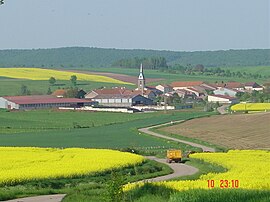 A general view of Athienville