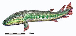 Eusthenodon