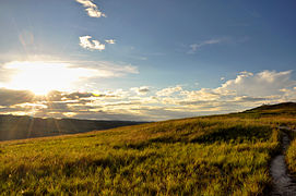 Zona intertropical Gran Sabana, Bolívar