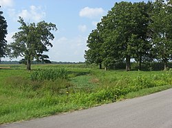 Empty field with no house.