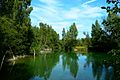 Regenerierter Weiher im Naturschutzgebiet