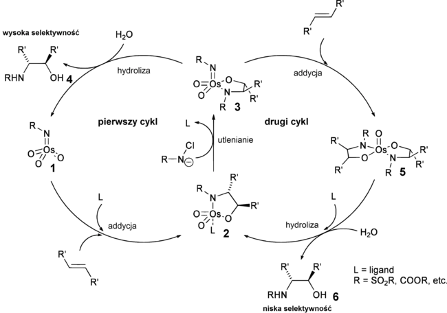 Mechanizm aminohydroksylacji Sharplessa