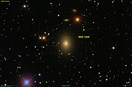 NGC 1224