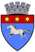 Wappen von Râmnicu Sărat