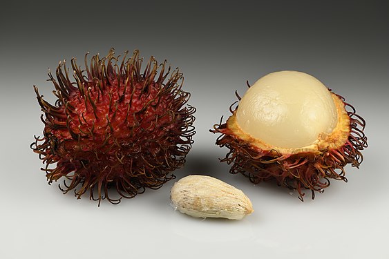 Rambutan by Ivar Leidus