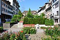 Rapperswil: Kleingärten in der Hintergasse