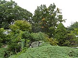 Stonecrop Gardens, Cold Spring