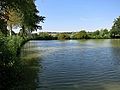 Büselweiher bei Scherz