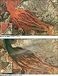 Satellite images that show the extreme erosion in the Betsiboka Estuary in Madagascar due to deforestation, which results in rapid denudation and one of the fastest changing coastlines.[43]