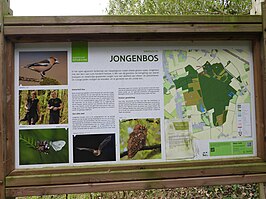 Jongenbos