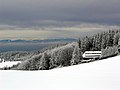 Schwarzwald im Winter m. Blick a.d. Vogesen