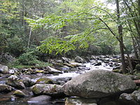 Nationalpark Great Smoky Mountains