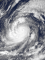 Image 82Typhoon Tip at global peak intensity on 12 October 1979 (from Pacific Ocean)