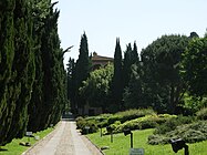 Villa Lemmi