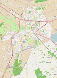 Mapa konturowa Łowicza, w centrum znajduje się punkt z opisem „Kościół pw. Matki Bożej Łaskawej i św. Wojciecha w Łowiczu”