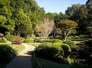 Japanese gardens at the Mount Coot-tha Botanic Gardens