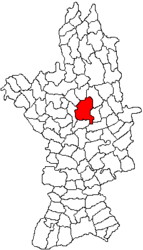 Location in Olt County