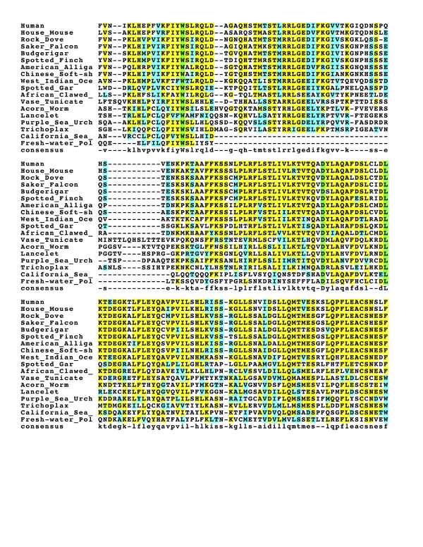 CCDC138 multiple sequence alignment showing conserved regions.