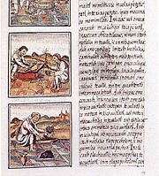 Page 51 of Book IX from the Florentine Codex. The text is in Nahuatl written with a Latin script.